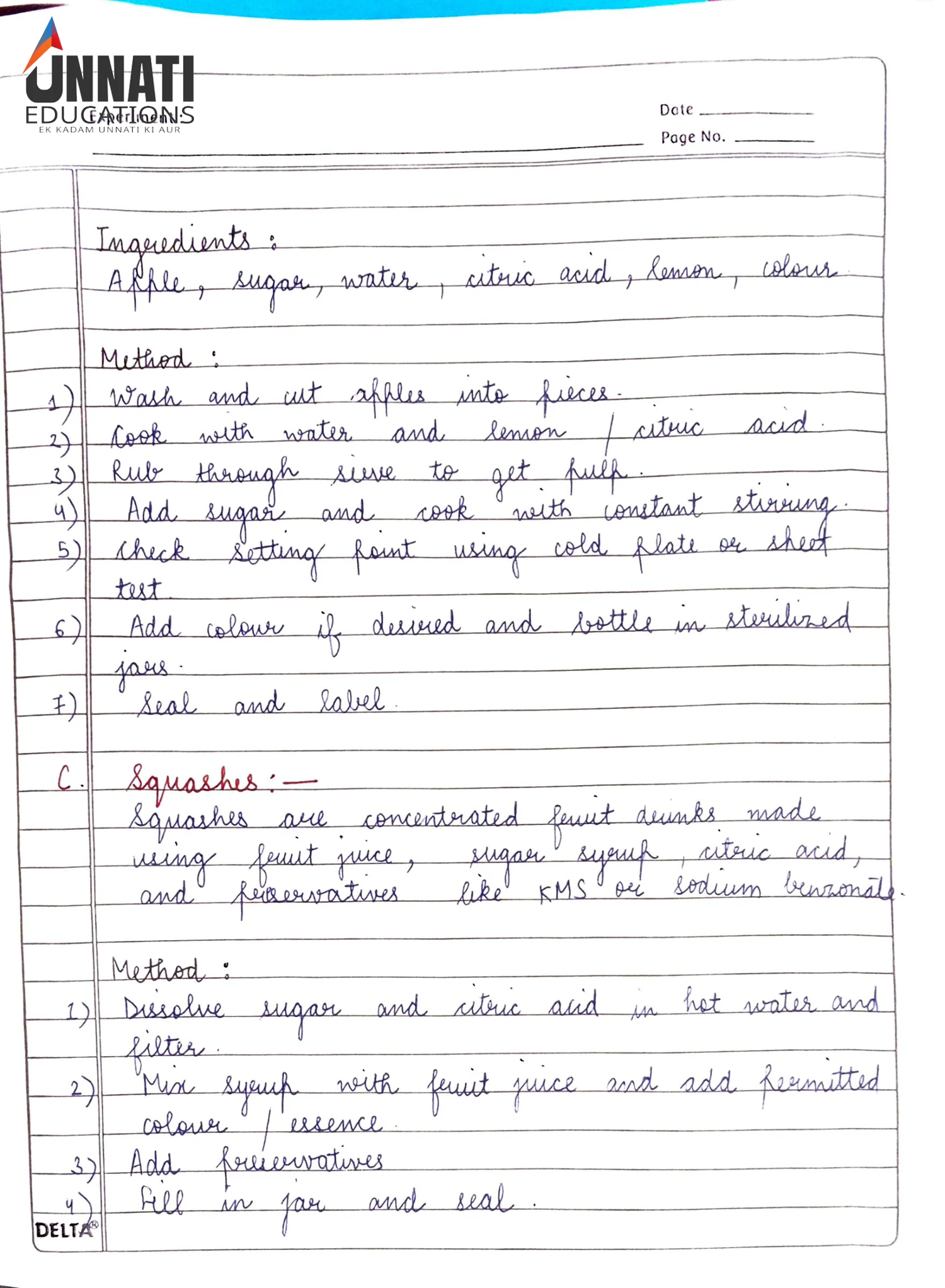 NIOS Home Science 321 practical file hand-drawn food pyramid chart page
