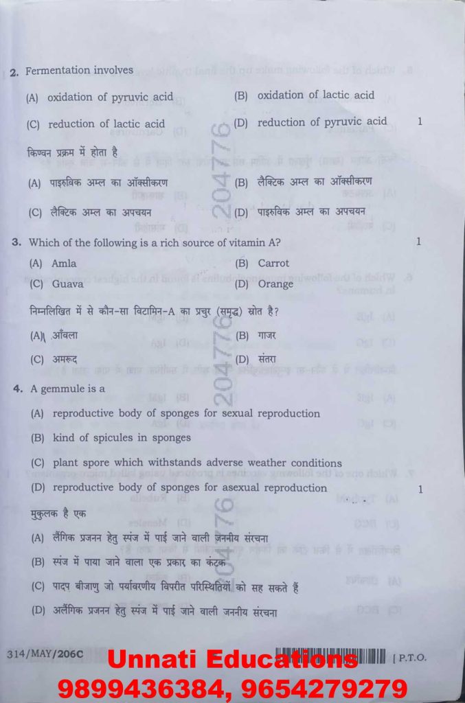 NIOS Class 12 Biology 314 Question Paper (October 2025 – Set C)