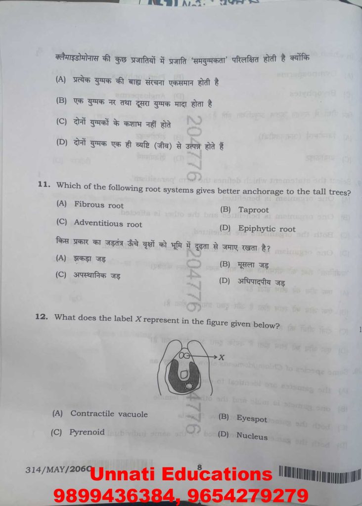 NIOS Class 12 Biology 314 Question Paper (October 2025 – Set C)