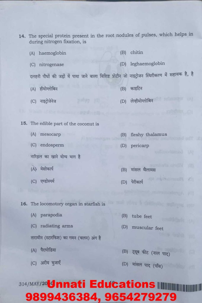 NIOS Class 12 Biology 314 Question Paper (October 2025 – Set C)