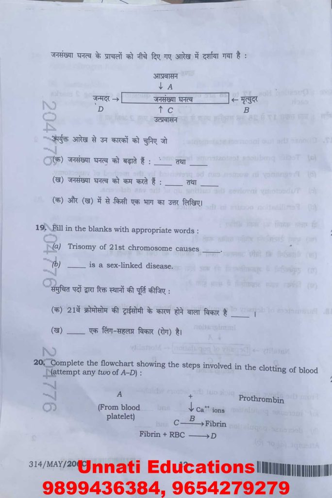 NIOS Class 12 Biology 314 Question Paper (October 2025 – Set C)