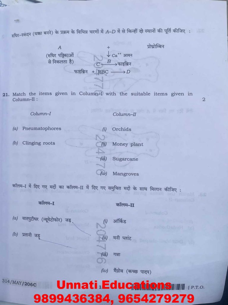 NIOS Class 12 Biology 314 Question Paper (October 2025 – Set C)