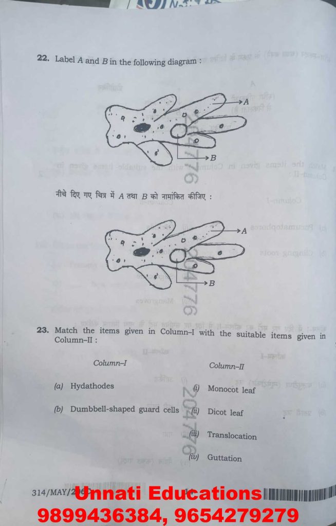 NIOS Class 12 Biology 314 Question Paper (October 2025 – Set C)