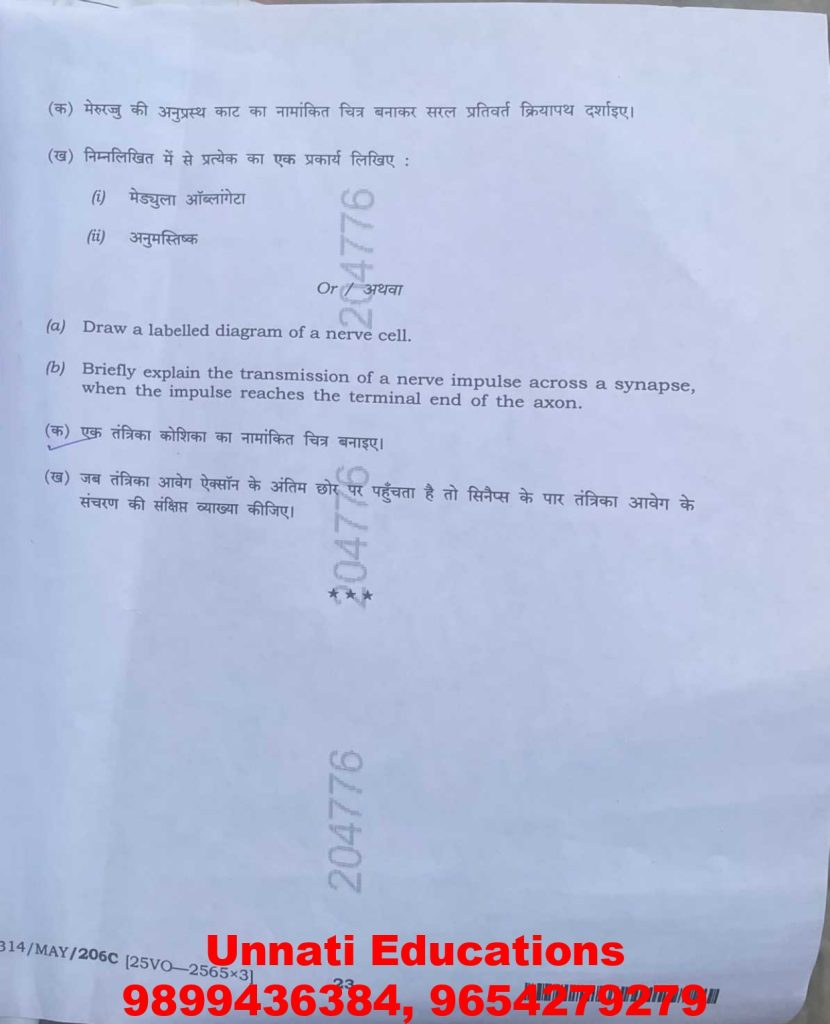 NIOS Class 12 Biology 314 Question Paper (October 2025 – Set C)