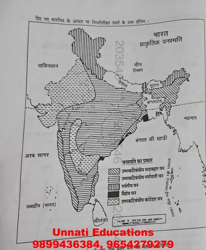 NIOS Class 12 Geography 316 Question Paper